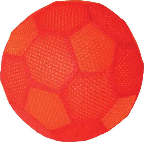 Seer Indoor Funball