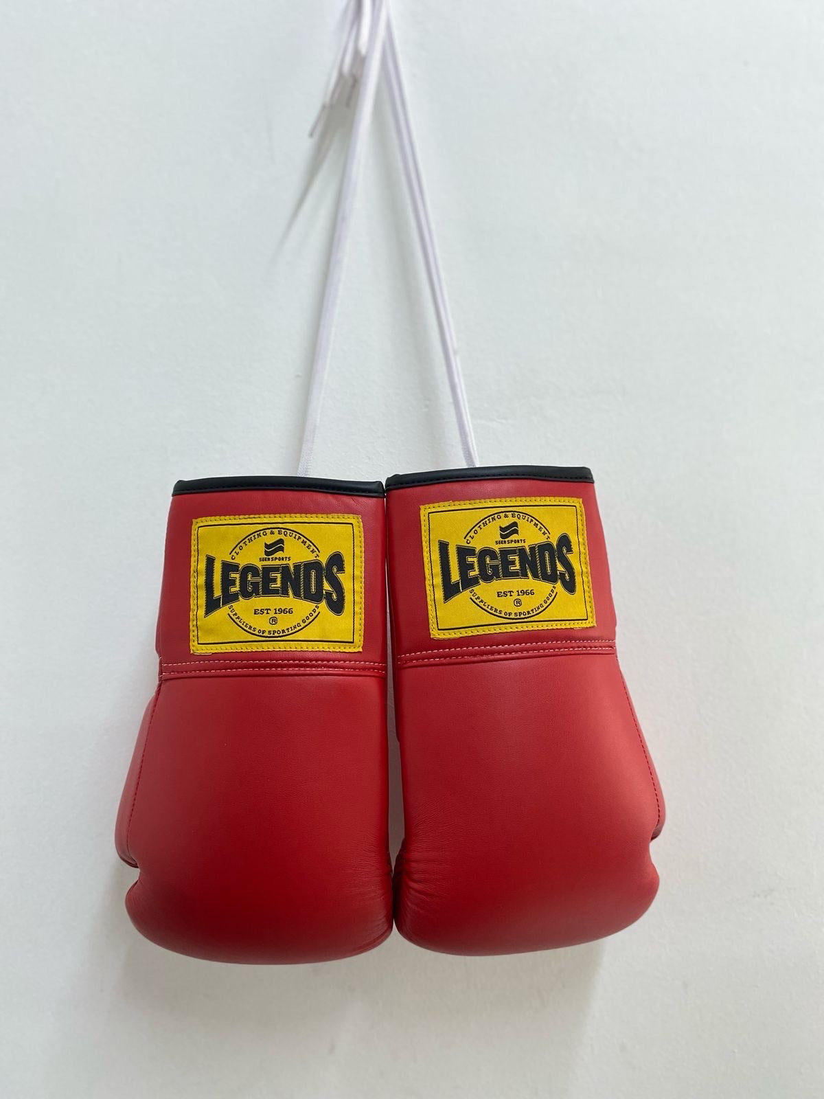 Seer Autograph Boxing Gloves