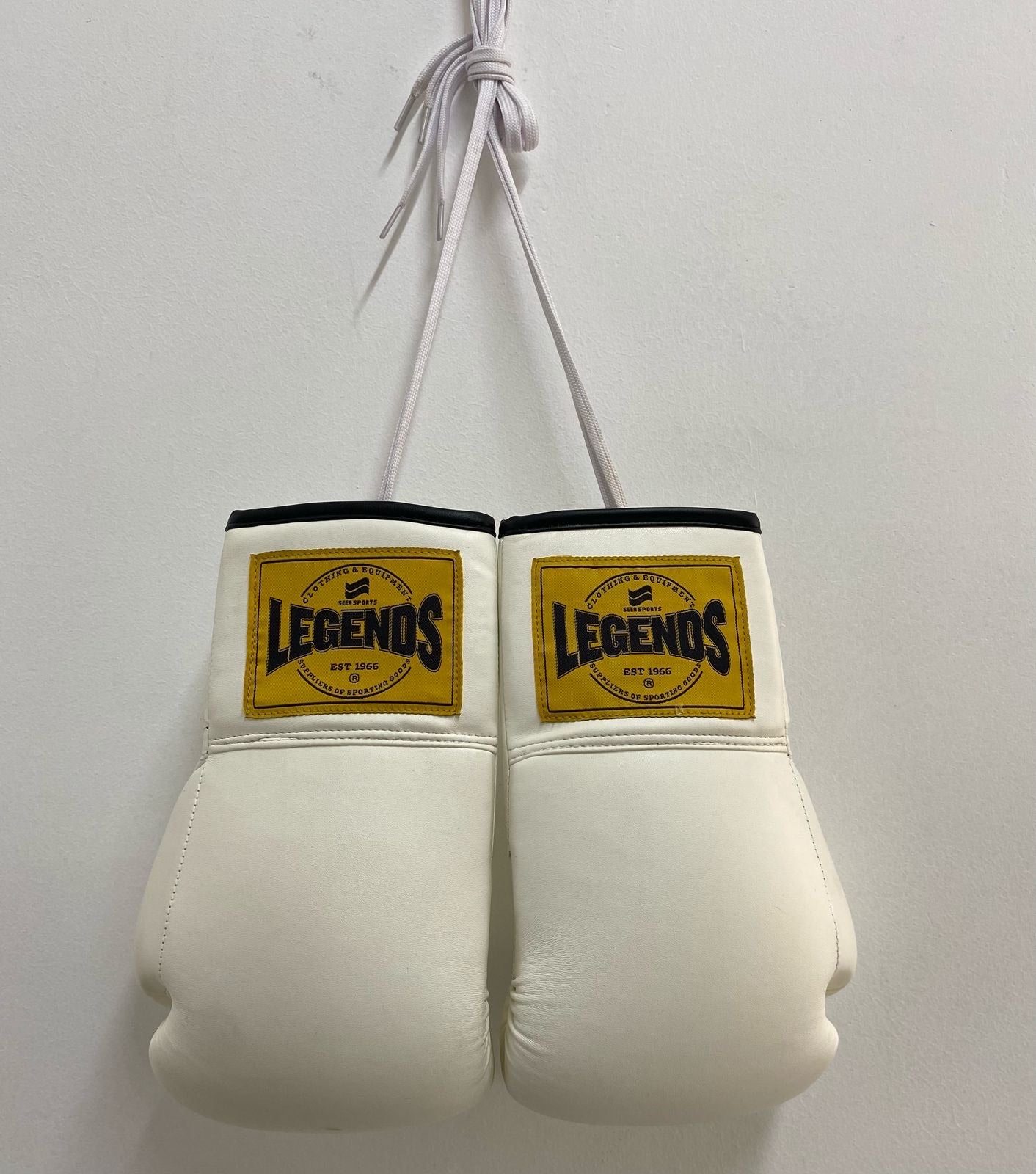 Seer Autograph Boxing Gloves