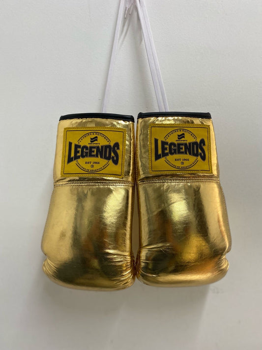 Seer Autograph Boxing Gloves